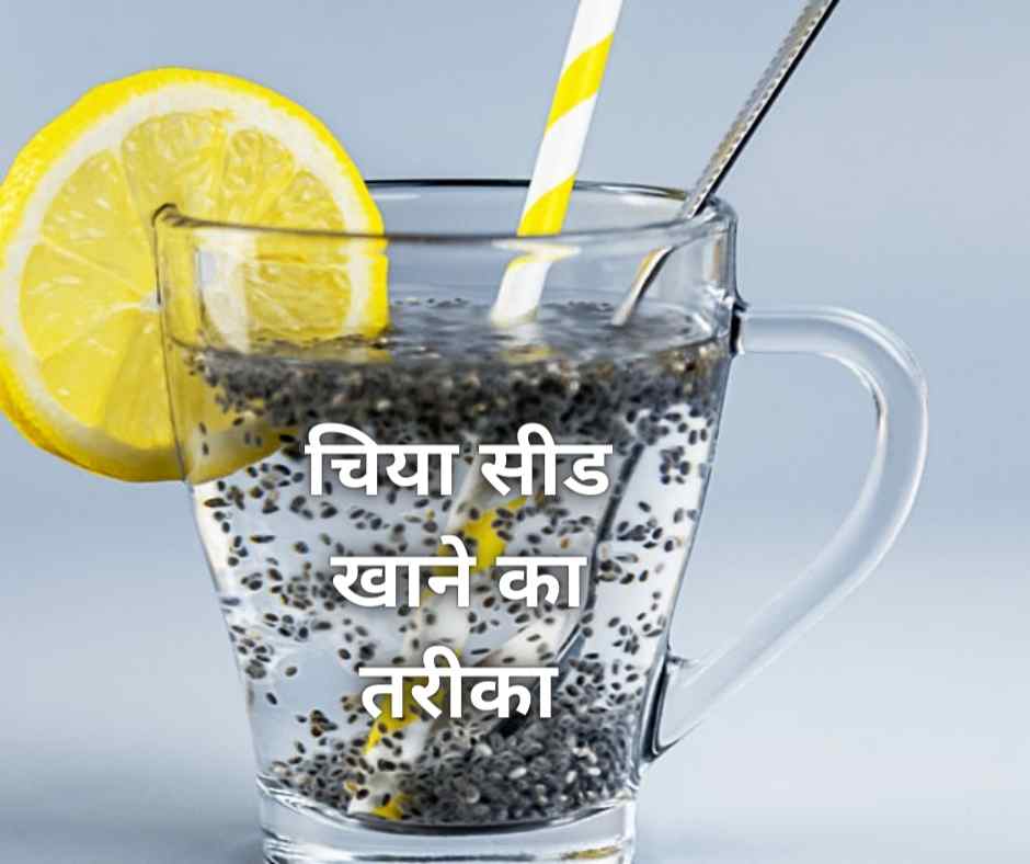 How to use chia seeds in hindi