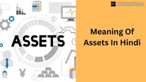 Meaning Of Assets In Hindi